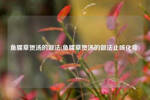 鱼腥草煲汤的做法(鱼腥草煲汤的做法止咳化痰)