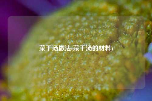菜干汤做法(菜干汤的材料)