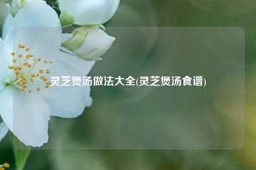 灵芝煲汤做法大全(灵芝煲汤食谱)