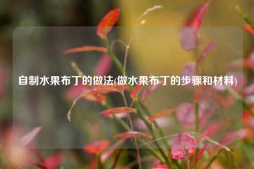 自制水果布丁的做法(做水果布丁的步骤和材料)