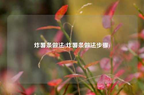 炸薯条做法(炸薯条做法步骤)