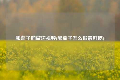 酿茄子的做法视频(酿茄子怎么做最好吃)