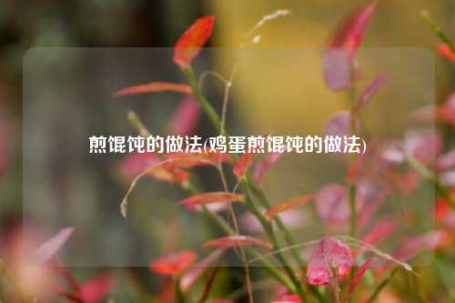 煎馄饨的做法(鸡蛋煎馄饨的做法)