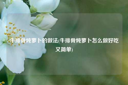 牛排骨炖萝卜的做法(牛排骨炖萝卜怎么做好吃又简单)