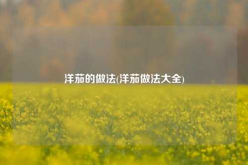洋茄的做法(洋茄做法大全)