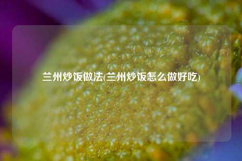 兰州炒饭做法(兰州炒饭怎么做好吃)