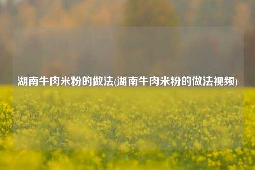 湖南牛肉米粉的做法(湖南牛肉米粉的做法视频)