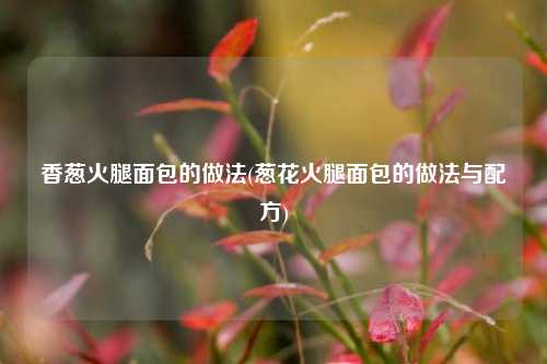 香葱火腿面包的做法(葱花火腿面包的做法与配方)