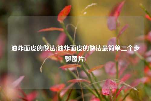 油炸面皮的做法(油炸面皮的做法最简单三个步骤图片)