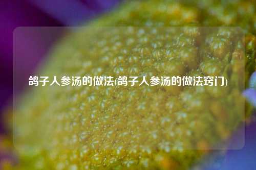 鸽子人参汤的做法(鸽子人参汤的做法窍门)