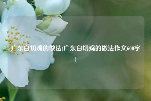 广东白切鸡的做法(广东白切鸡的做法作文600字)