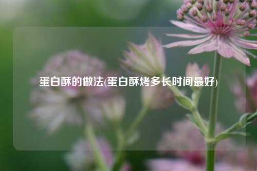 蛋白酥的做法(蛋白酥烤多长时间最好)