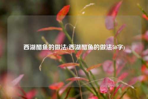 西湖醋鱼的做法(西湖醋鱼的做法50字)