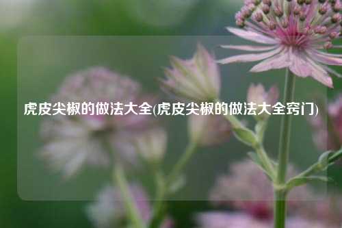 虎皮尖椒的做法大全(虎皮尖椒的做法大全窍门)
