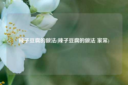 辣子豆腐的做法(辣子豆腐的做法 家常)